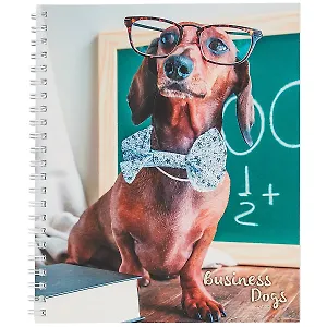 Тетрадь в клетку Listoff, "Пушистые менеджеры", 48 листов, в ассортименте