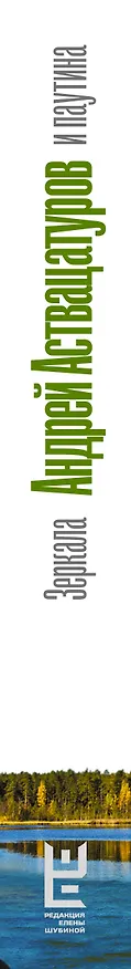 Книга Зеркала и паутина (Андрей Аствацатуров) — 4