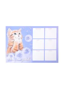 Расписание уроков А4 "КОТИК МЕЧТАТЕЛЬ" мелов.картон, выб.Уф-лак