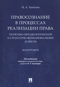 Правосознание в процессах реализации права: теоретико-методологический и структурно-функциональный аспекты. Монография