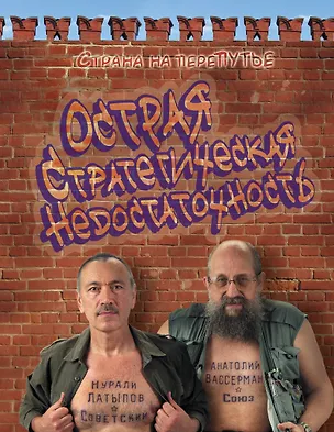 Книга Острая стратегическая недостаточность. Страна на переПутье (Анатолий Вассерман, Нурали Латыпов)