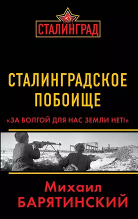 Сталинградское побоище. «За Волгой для нас земли нет!» — 2335157 — 1