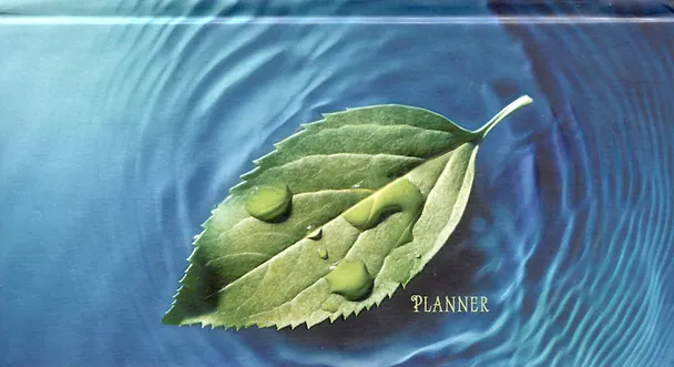 Планинг недат. 64л "По течению" карманный, 7БЦ, мат.лам, выб.лак, офсет 261140 — 1