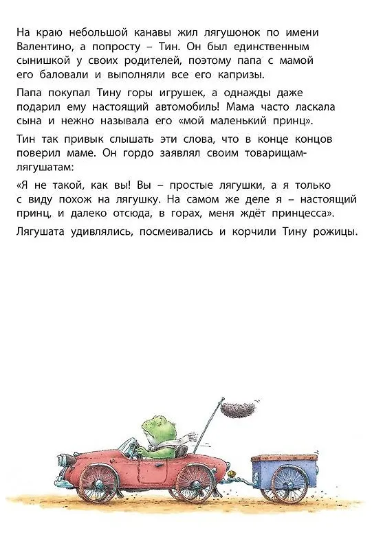 Книга Мой маленький принц (Бёрни Бос) — 2