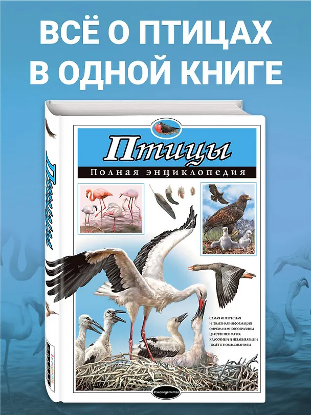 Книга Птицы. Полная энциклопедия (Юлия Школьник) — 6