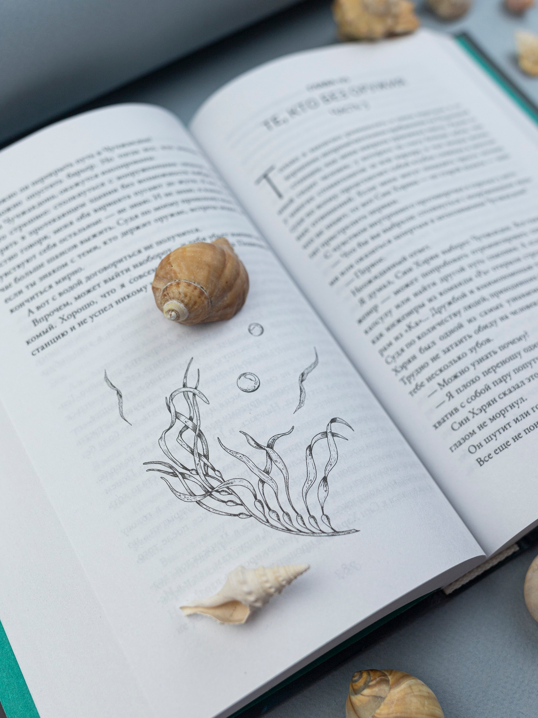 Изображение бумажной книги