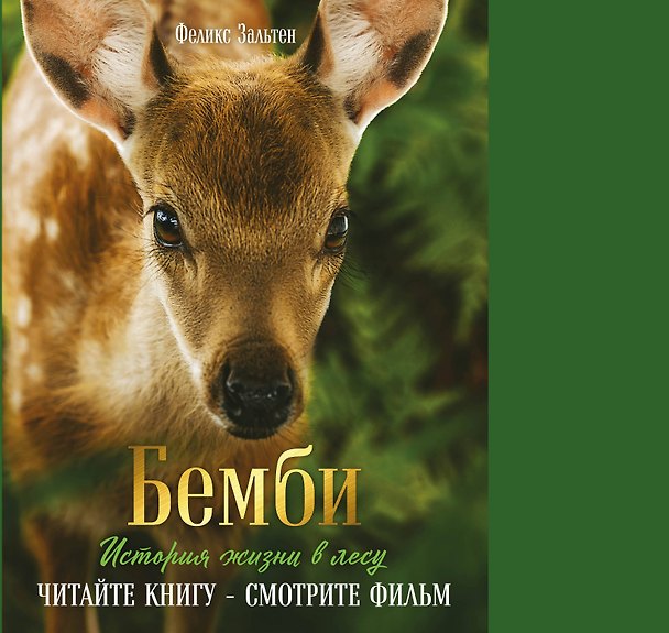 Книга Бемби (ил. М. Митрофанова)+суперобложка (Феликс Зальтен) — 1