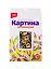 Ркн-020 Картина по номерам Черепашка (набор для творч.) (LORI) (5+) (коробка) — 2820278 — 2