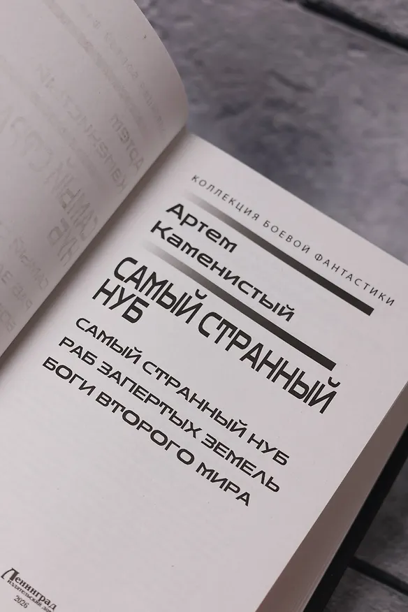 Книга Самый странный нуб (Артём Каменистый) — 9