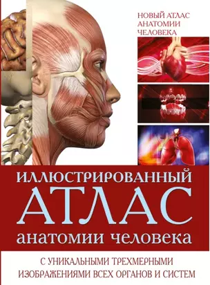 Новый атлас анатомии человека (ISBN 5-17-012340-X в суперобложке "Иллюстрированный атлас анатомии человека") — 2451855 — 1