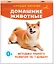 Домашние животные. Отрезные карточки — 2985921 — 3