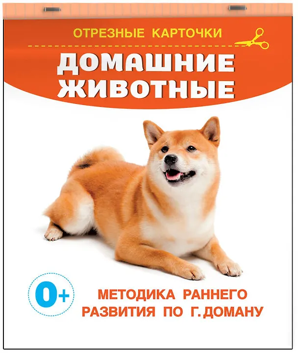 Книга Домашние животные. Отрезные карточки () — 3