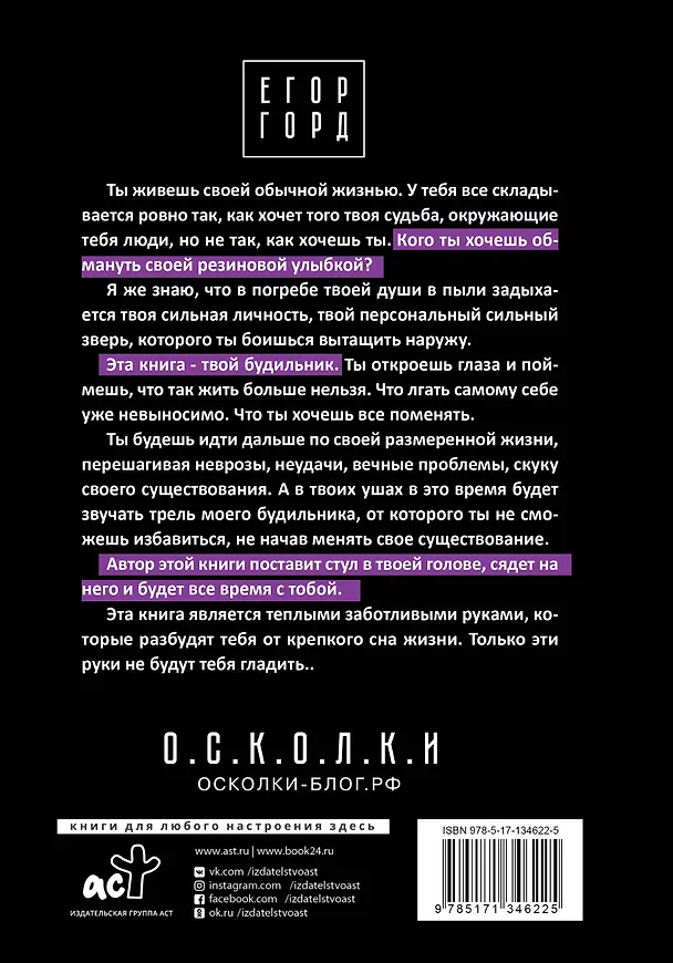 Книга 6 осколков личности (Егор Горд) — 2
