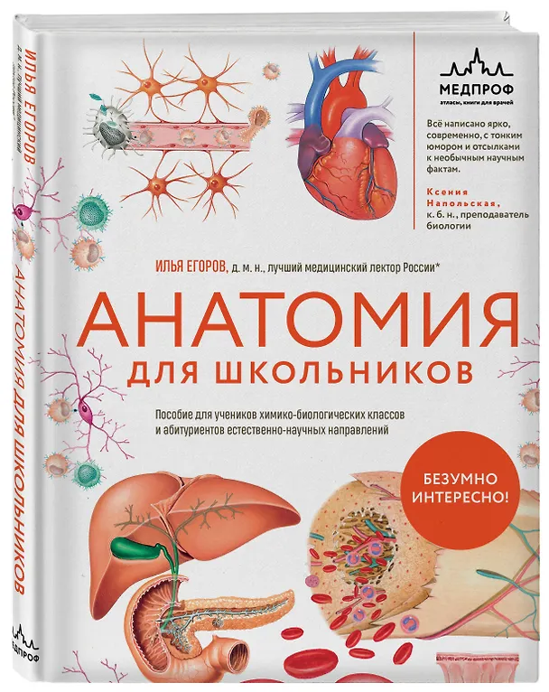 Книга Анатомия для школьников. Пособие для учеников химико-биологических классов и абитуриентов естественно-научных направлений (Илья Егоров) — 5