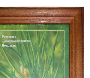 Фоторамка деревянная 18*24 Красн.дерево