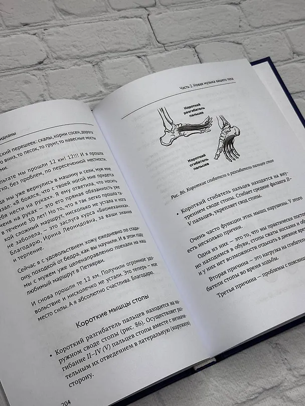 Книга Анатомические меридианы. Почему лечить нужно печень, если болят плечи, как избавиться от боли в суставах и позвоночнике за несколько минут и найти ее истинную причину (Ирина Старкова, Алена Старкова) — 12
