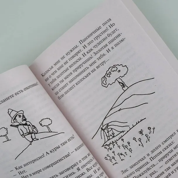 Книга Маленький принц. Планета людей (Антуан де Сент-Экзюпери) — 12