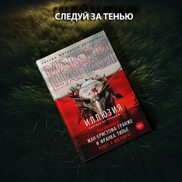 Книга Иллюзия (Максим Шаттам) — 5