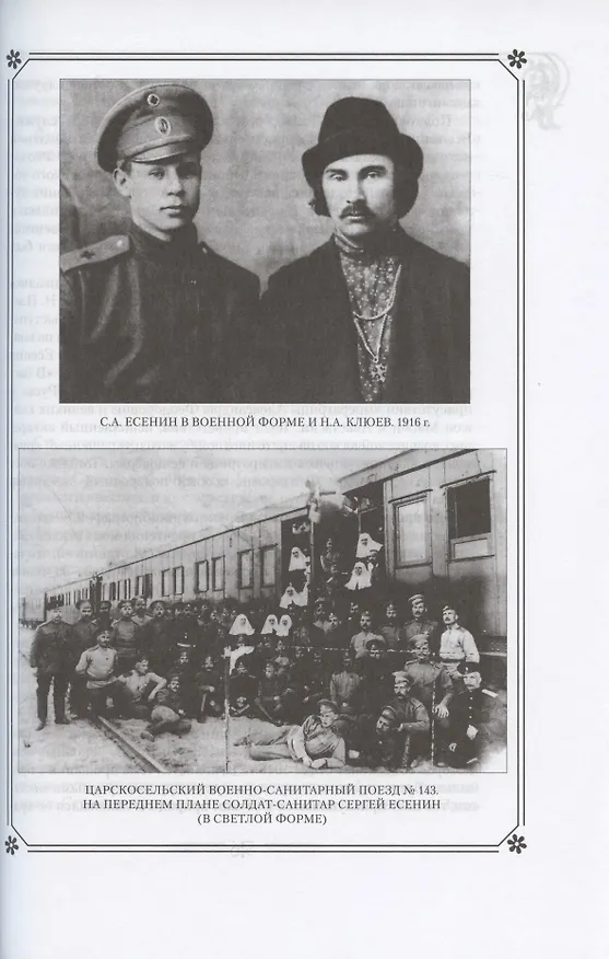 Книга С.А. Есенин в жизни и творчестве. Учебное пособие (Наталья Шубникова-Гусева) — 5