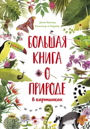 Большая книга о природе в картинках — 2835039 — 1