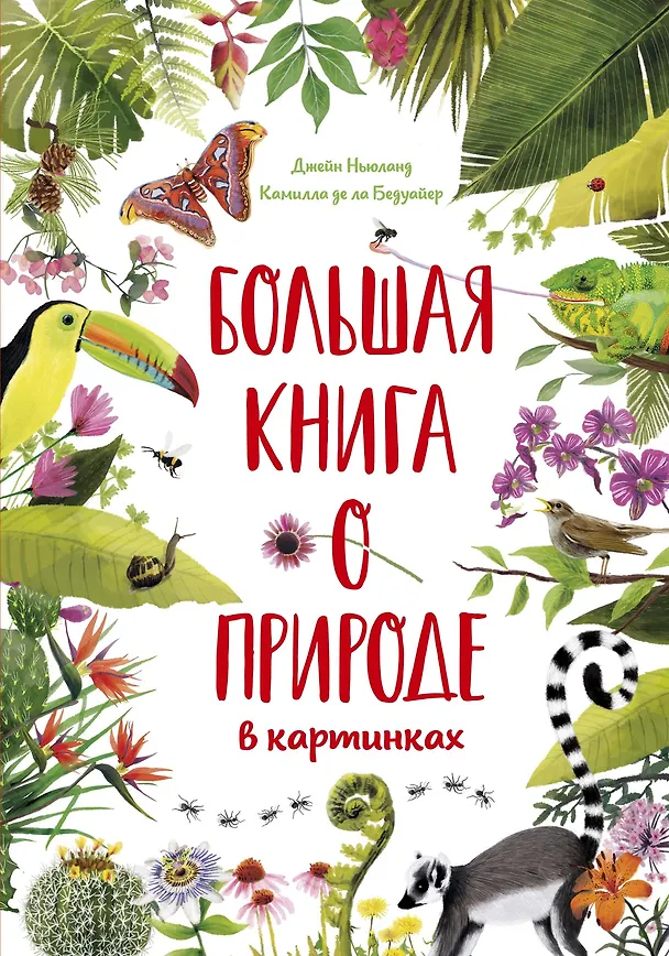 Книга Большая книга о природе в картинках (Камилла де ла Бедуайер) — 1