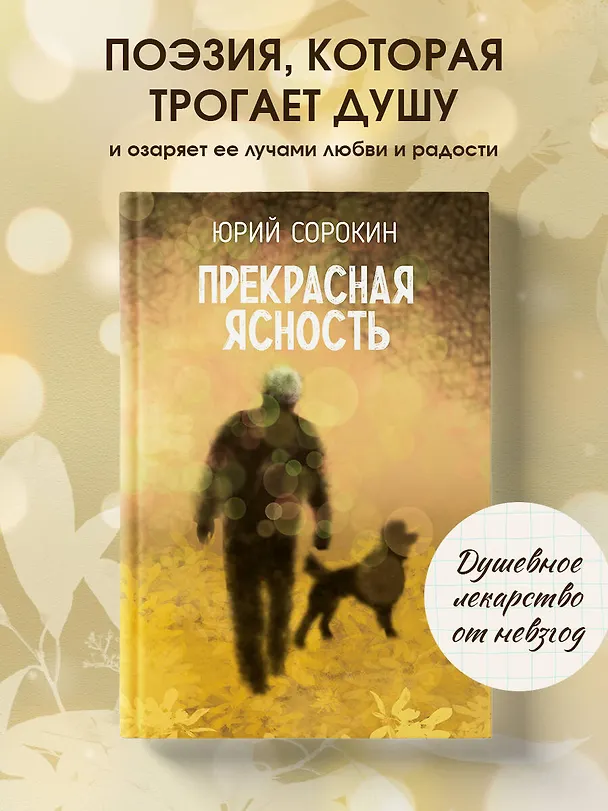 Книга Прекрасная ясность (Юрий Сорокин) — 5