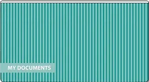 Папка 26*14см Феникс+ Полосы пластиковая, на гибкой молнии