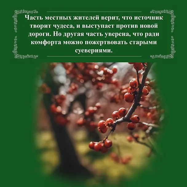Книга Боярышниковый лес (Мейв Бинчи) — 8