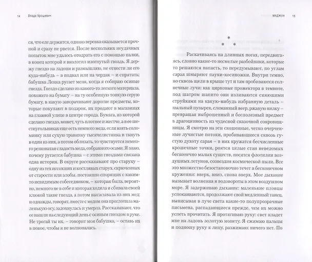 Книга Маджун (свет детства, цвет детства, завет детства) (Влада Урошевич) — 6