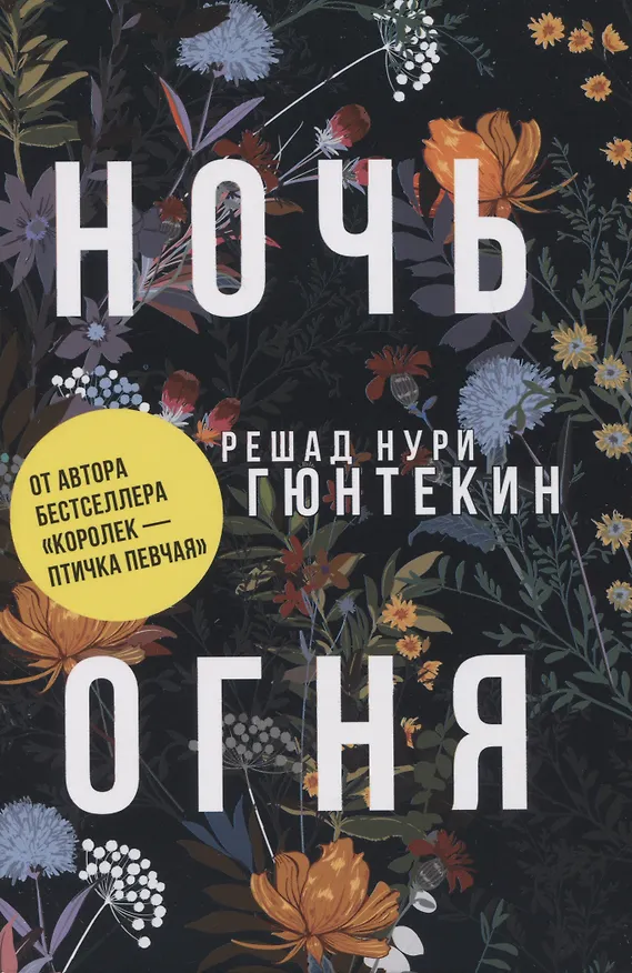Книга Красивые истории любви: "Королек – птичка певчая" и "Ночь огня" (Решад Нури Гюнтекин) — 2