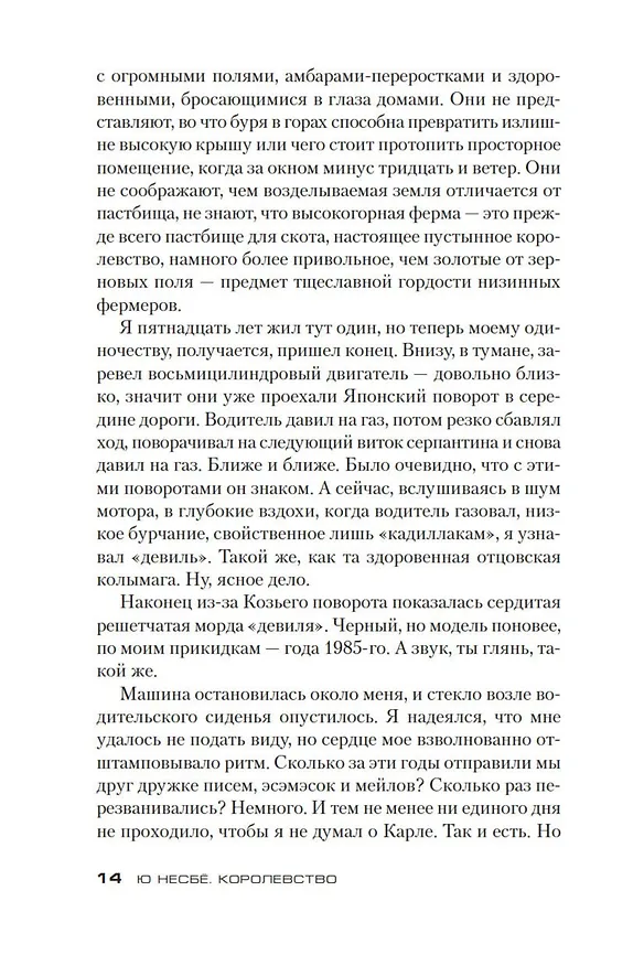Книга Королевство (Ю Несбё) — 9
