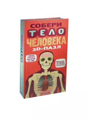 3D-пазл Собери тело человека (05494) (76 см) (66дет) (Уолкер) — 2412059 — 1