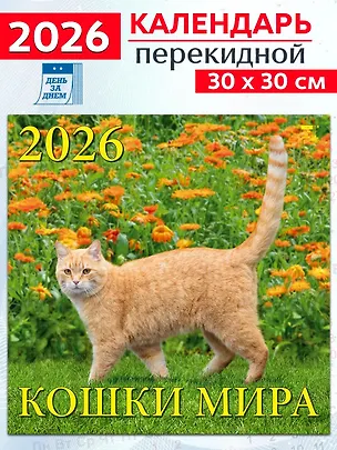 Календарь 2026г 300*300 «Кошки мира» настенный, на скрепке 3108642