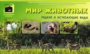 Книга Фотоальбом "Мир животных. Редкие и исчезающие виды" ()