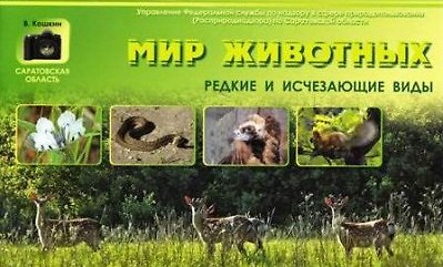 Книга Фотоальбом "Мир животных. Редкие и исчезающие виды" () — 1