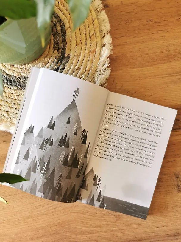 Книга Дикий робот (Paperback) (Питер Браун) — 12