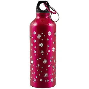 Бутылка с карабином Цветы (металл) (500 мл) (12-16107-А1)