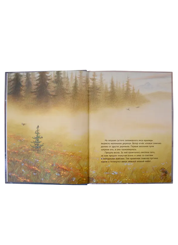 Книга Подарочный набор. Волшебная зима: Как-то раз в новогоднем лесу... , Ёлочка на Рождество, Страшный милый волк (комплект из 3 книг) (Наталья Карпова, Маргарет Браун, Джим Ламарш) — 4