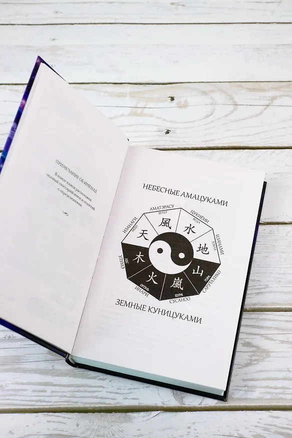 Книга Темная буря (Аннетт Мари) — 9