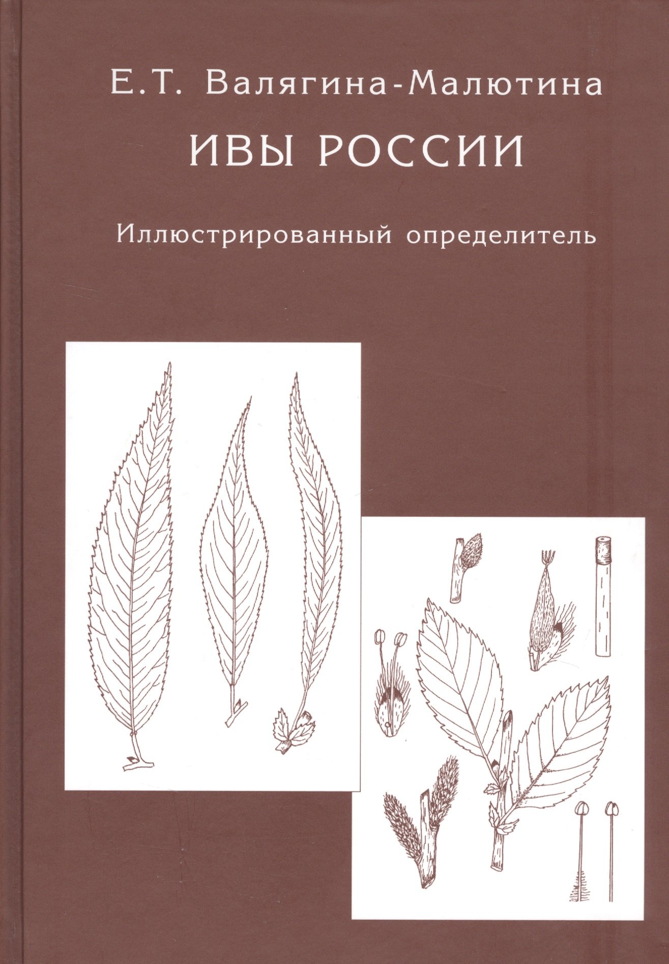 

Ивы России. Иллюстрированный определитель