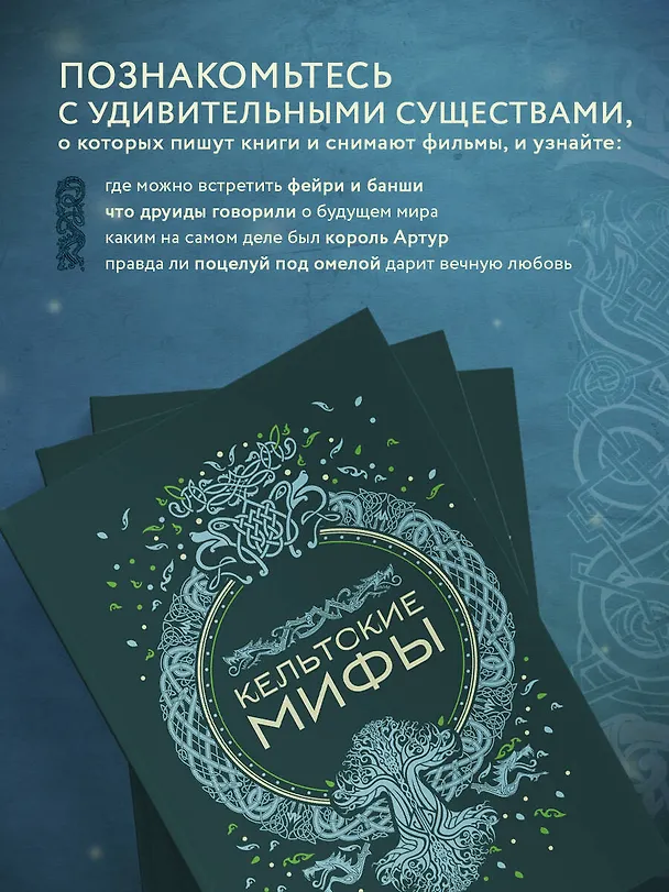 Книга Кельтские мифы () — 7