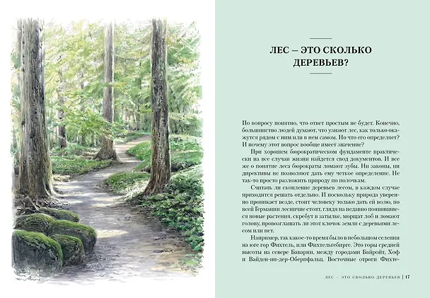 Книга Загадки леса. Удивительная жизнь зеленой экосистемы планеты (Адриане Лохнер) — 7