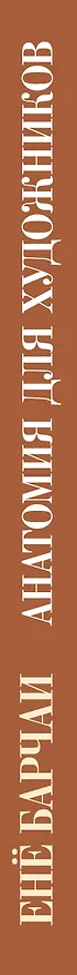 Книга Анатомия для художников (Енё Барчаи) — 3