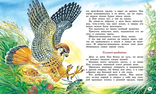 Книга Сказки и рассказы о животных (Виталий Бианки) — 11