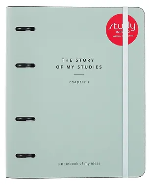 Тетрадь 120л кл. "Story", зеленый, на кольцах, шелкография, верт.резинка, обл. кож.зам 3085187