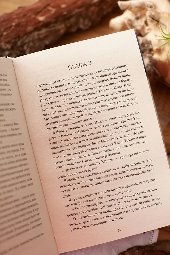 Книга Смерть в райском уголке (Эмили Салливан) — 10