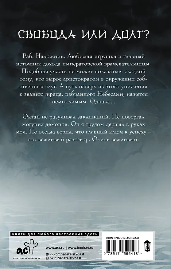 Книга Небо примет лучших (Ирина Сон) — 2