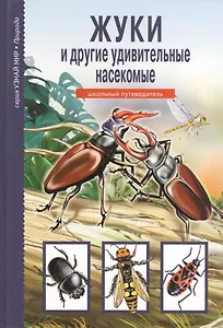 Жуки и другие удивительные насекомые.