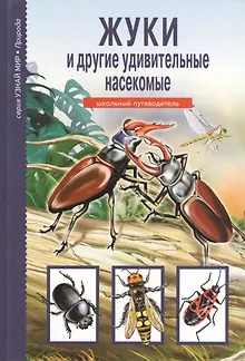 Жуки и другие удивительные насекомые.