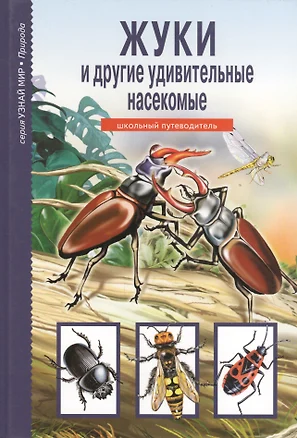 Жуки и другие удивительные насекомые. — 2189548 — 1